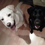 Sheila Tobin - @tobin8006 - Instagram