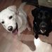 Sheila Tobin - Facebook