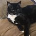 Sheila Towery - Facebook