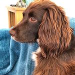 Sheila Townsend - @sheila.townsend.12 - Instagram