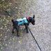 Sheila Tyers - Facebook