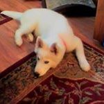 Sheila Vance - @s.vance1036 - Instagram