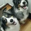 Sheila Vance - @sheila.vance53 - TikTok