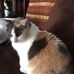 Sheila Vaughan - Facebook