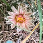 Sheila Weaver - @eastforkmama - Instagram