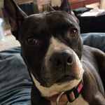 Sheila Weaver - @sweaver - Instagram