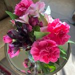 Sheila Weaver - @sheilaweaver07 - Instagram