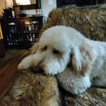Sheila Weaver - @sheilaweaver1948 - Instagram