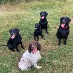 Sheila Weeks - @chickensheila - Instagram