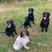 Sheila Weeks - Facebook