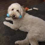 Sheila Rice Westfall - @sheila.r.westfall - Instagram