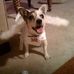Sheila Whitehurst - Facebook