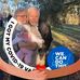 Shelia Wickstrom - Facebook
