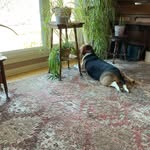 Sheila Wilkinson Quinlan - @squinlan58 - Instagram