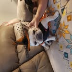 Sheila Workman - @sheilakworkman - Instagram