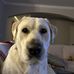 Sheila Wright - Facebook