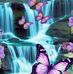 Sheila Wright - Facebook