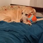 Shelby Betts - Facebook