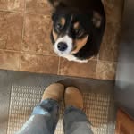 Shelby boyle - @shelbyboyle569 - Instagram