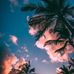 Shelby Coates - Facebook