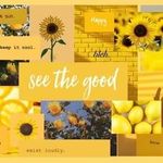 Shelby.coates - @shelby.coates8 - Instagram