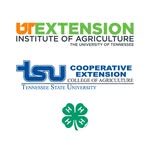 UT-TSU Extension Shelby Co - @shelbycoextension - Instagram