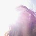 Shelby Conn - Facebook