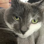 Shelby Conner - @shelbyconner36 - Instagram