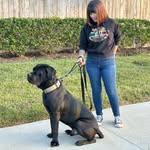 @corso_shelby - Instagram