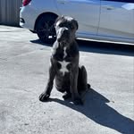 Shelby - @msshelbycorso - Instagram