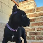 Shelby - @shelby_thecorso - Instagram