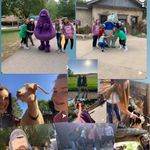 Shelby Lynn Decker - @shelbylynndecker0115 - Instagram