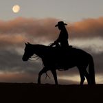 Shelbie dutton - @barrel_racer3881 - Instagram