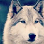 shelby - @shelby.fair1234 - Instagram