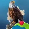 Shelby Goodeagle - @shelby.goodeagle - TikTok