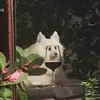hailey - @haileyshelby1920 - TikTok
