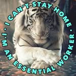 Shelby Keys - @shelby.keys.716 - Instagram