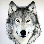 Shelby Kyle Alessandro - @shelby_kyle_alessandro - Instagram