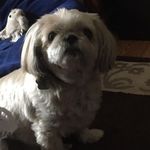 Shelby Laughlin - @shelby.laughlin.779 - Instagram