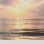 shelby - @shelbylaughlin58 - Instagram