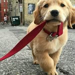 shelby lowe - @shelbylowe55 - Instagram