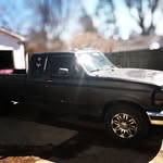 Shelby Lowe - @wickedlowe - Instagram