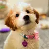 Shelby Mae - @theshelbymae - TikTok