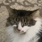 shelby - @shelbym.alone - Instagram