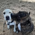 shelby - @shelby.mcfall13 - Instagram