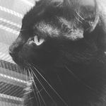 ✨🌑Shelby_Moon🌑✨ - @shelby_moons - Instagram