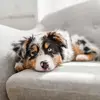 Shelby Moller - @shelby.moller - TikTok