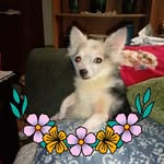 Shelby Roach - @shelby.roach.90 - Instagram