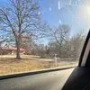 shelby ryan - @shelby.ryan8 - TikTok