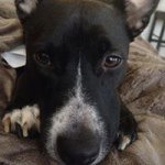 Shelby Samples - @shelbysamples - Instagram